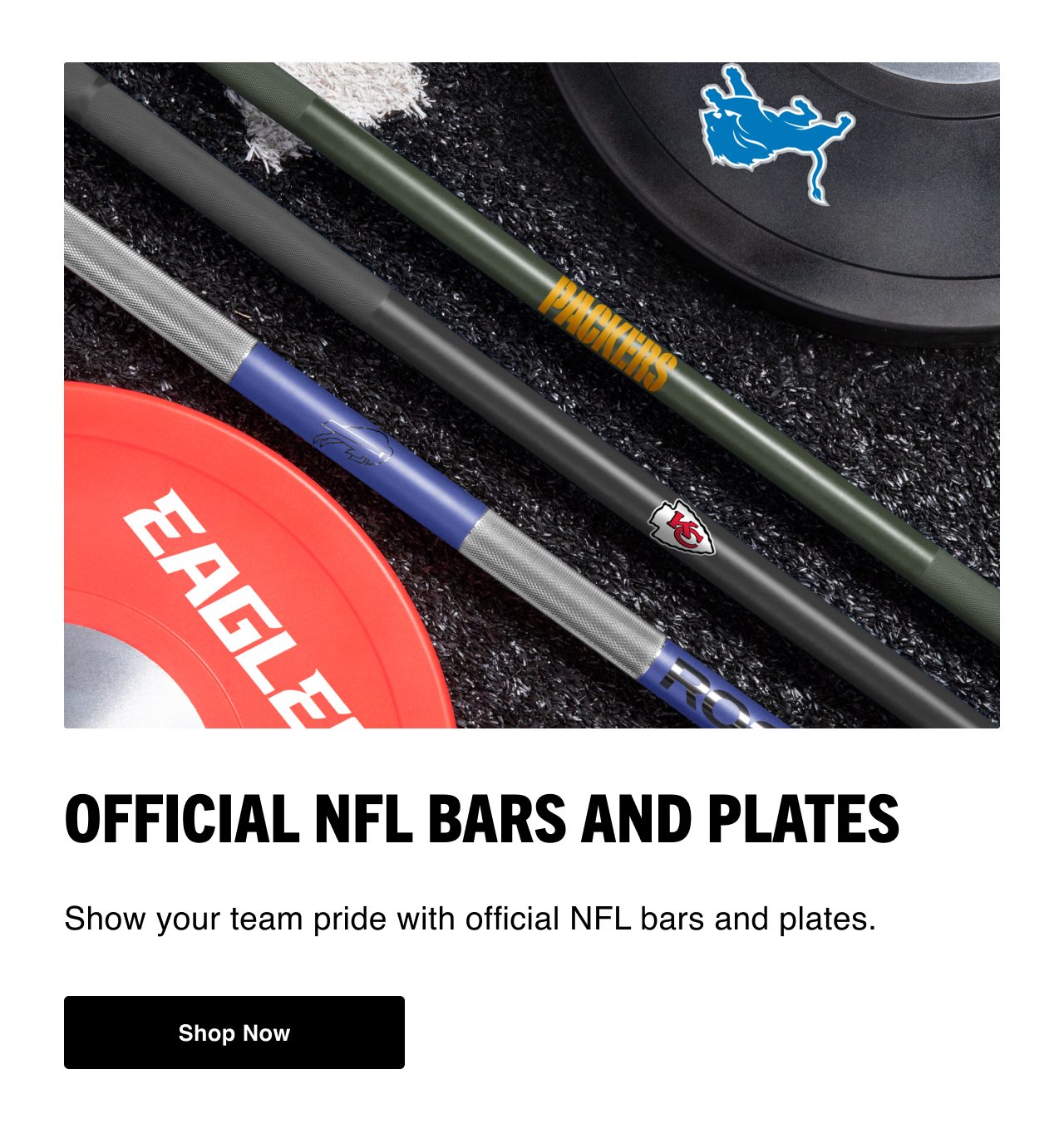 Official NFL Bats and Plates