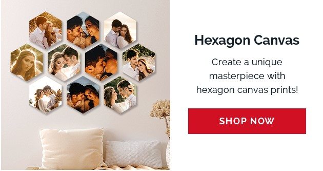 Hexagon Canvas