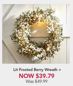 Lit Frosted Berry WreathNow $39.79 Was $49.99