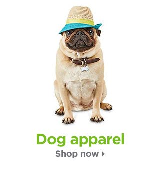 Dog apparel. Shop now.