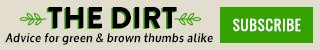 1586453405623_Dirt_320X50
