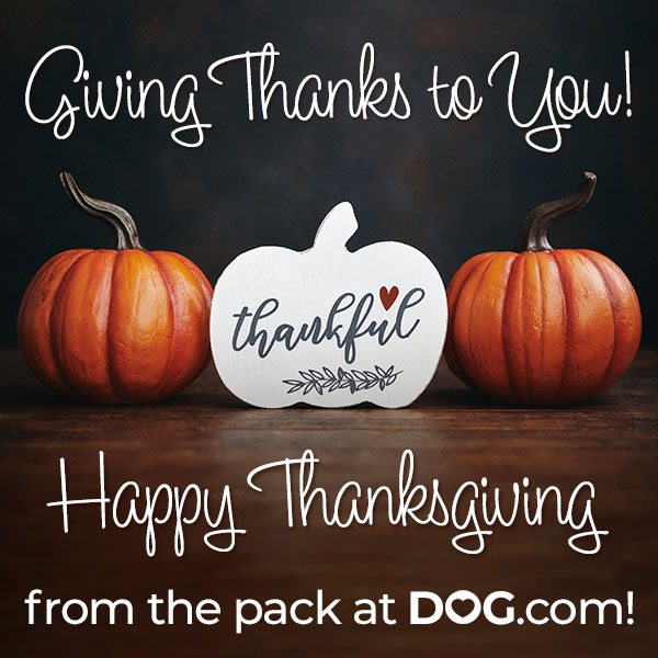Giving Thanks to You! Happy Thanksgiving! 20% Off + $3.99 Shipping over $79*