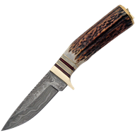 Whitetail Damascus Skinning Knife