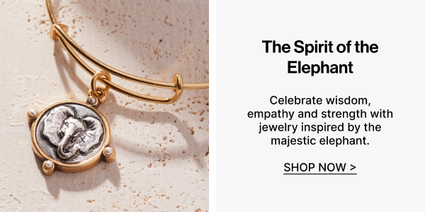 The Spirit of the Elephant | SHOP NOW