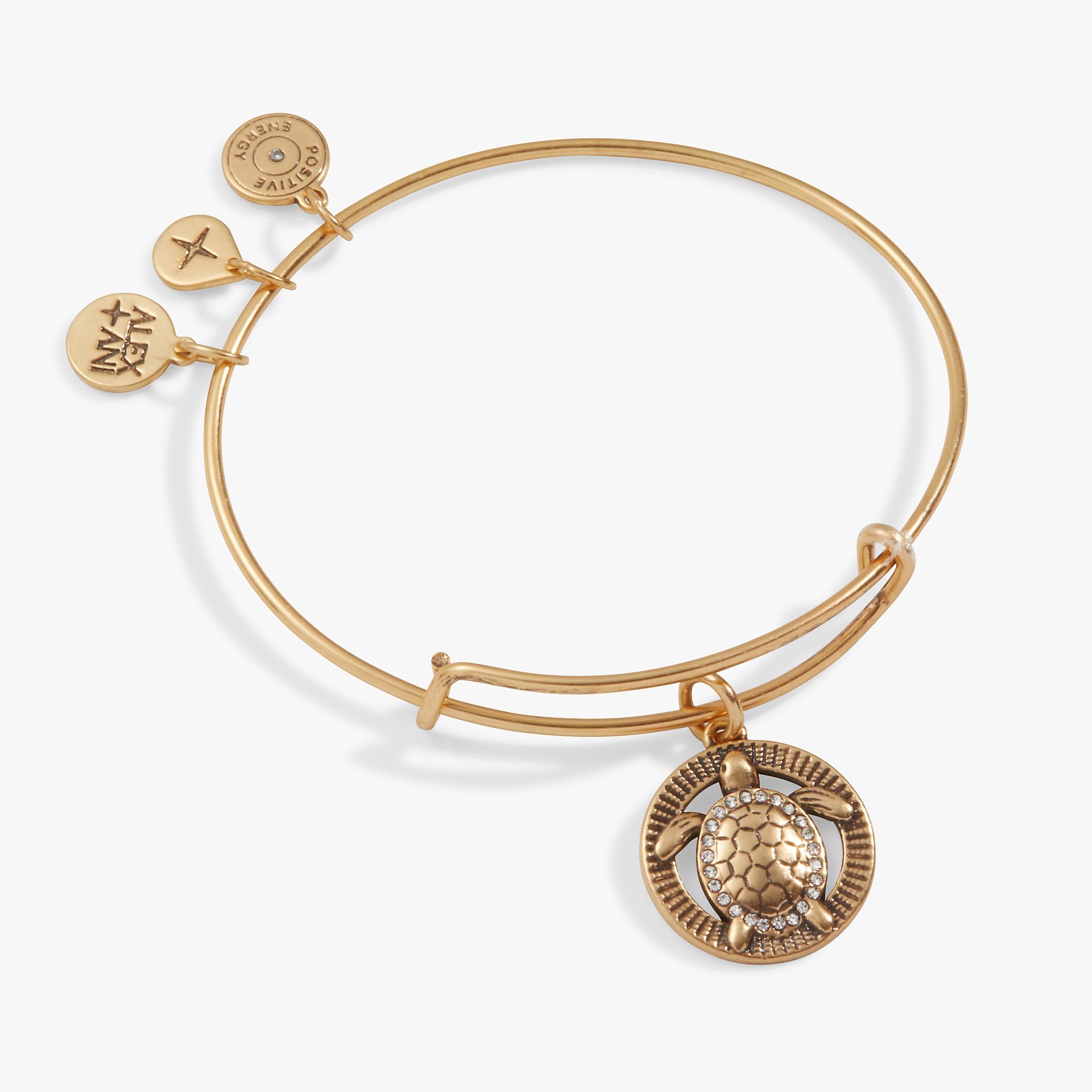 Turtle Charm Bangle