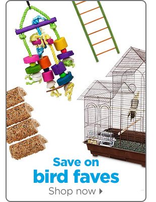 Save on bird faves. Shop now.