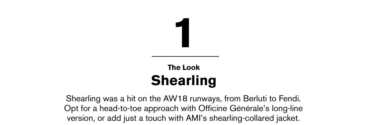 THE LOOK SHEARLING