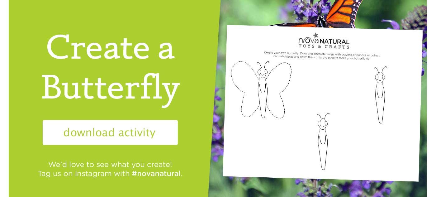 create a butterfly