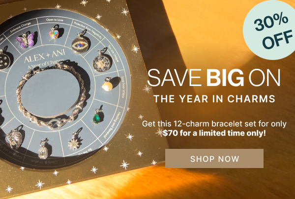 Save Big on The Year in Charms | SHOP NOW