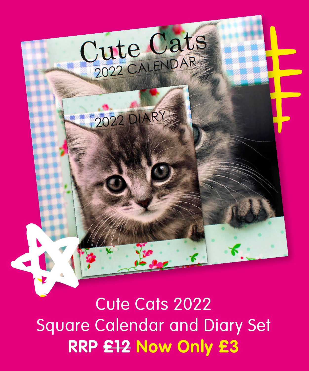 Cute Cats 2022 Square Calendar and Diary Set