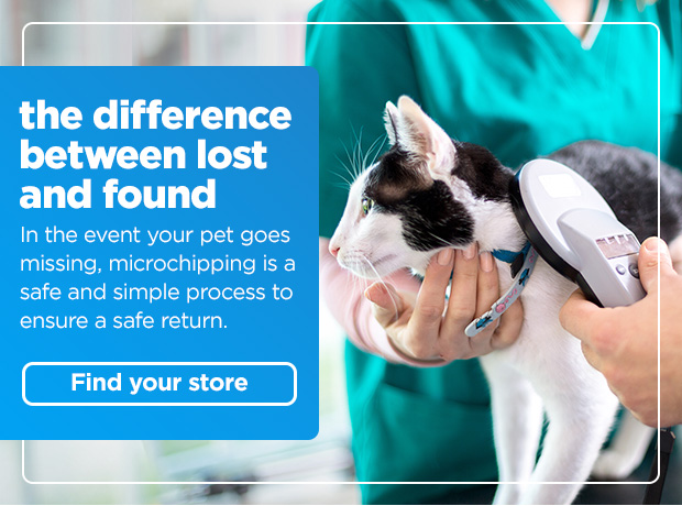 The difference between lost and found. In the event your pet goes missing, microchipping is a safe and simple process to ensure a safe return. Find your store. 
