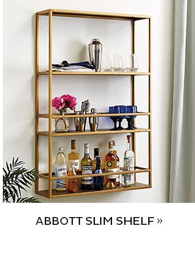 Abbott Slim Shelf