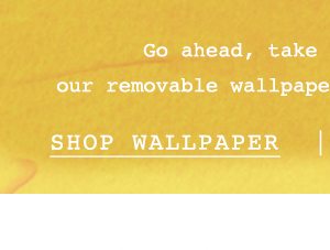 Shop removeable wallpaper.