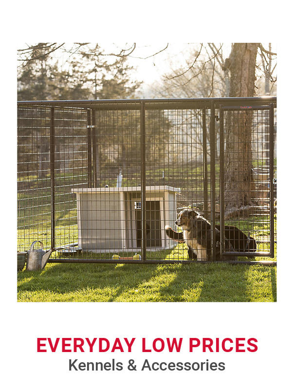 Kennels and Accessories