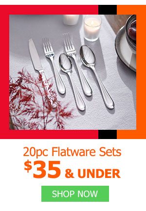 20pc Flatware Sets $35 and under
