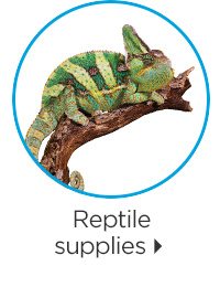 Reptile supplies.