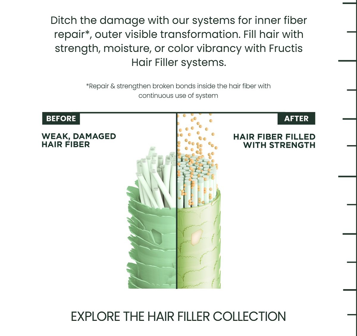 Learn more about Fructis Hair Filler