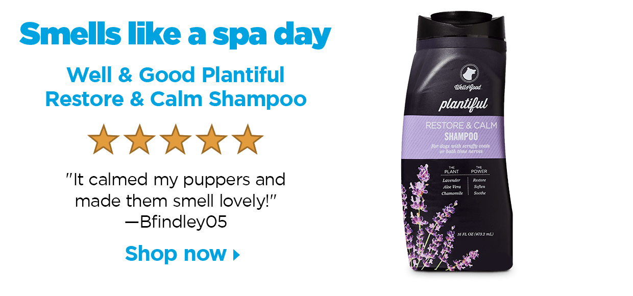 Smells like a spa day. Well & Good Plantiful Restore & Calm Shampoo. 5 stars. "It calmed my puppers and made them smell lovely!" —Bfindley05. Shop now.