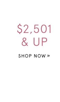 Shop Gifts $2,501 & Up