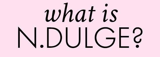 WHAT IS N.DULGE?