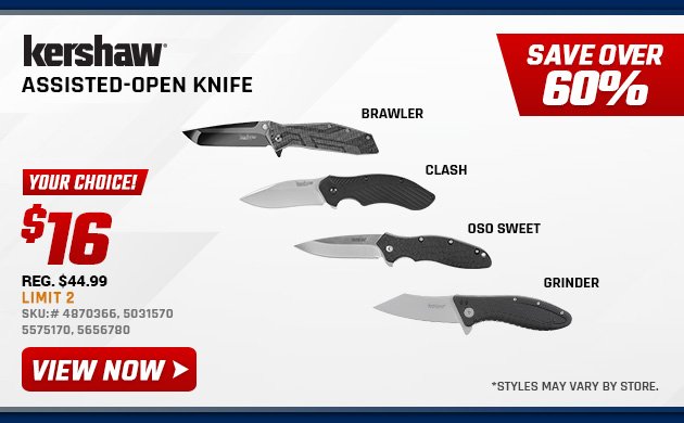 Kershaw Assisted-Open Knife