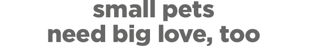 Small pets need big love, too.