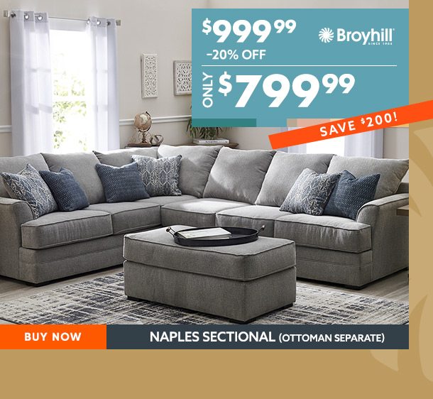 Right Now Friends Family Extra 20 Off Big Lots Email Archive