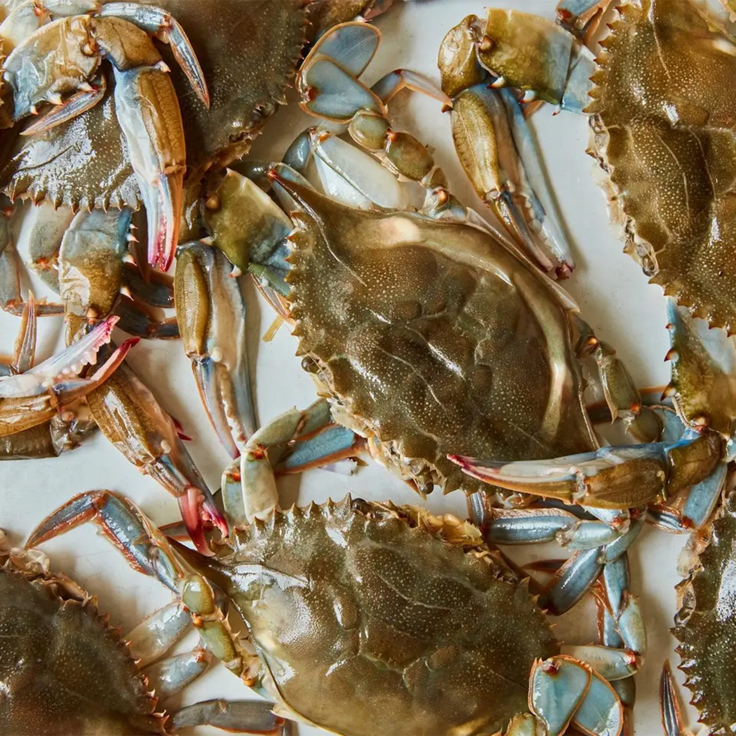 How to Clean a Soft Shell Crab