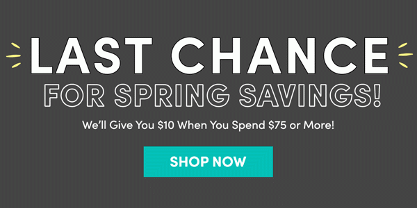 Last Chance For Spring Savings | Shop Now