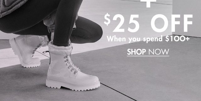 Take $25 Off When You Spend $100+