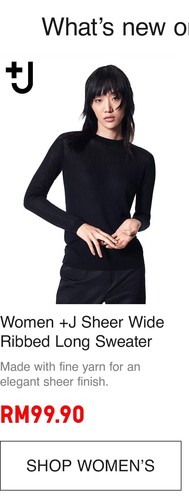 +J RIBBED CREW NECK SWEATER