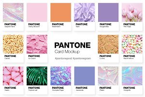 Pantone Color Cards Mockup