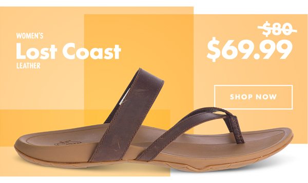 LEATHER SALE LOST COAST IMG