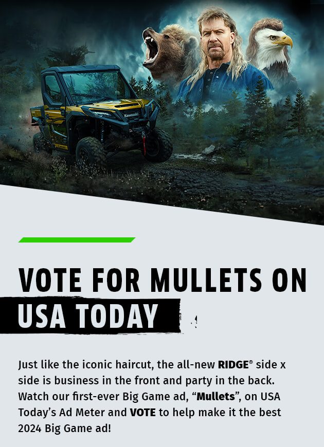 VOTE FOR MULLETS ON USA TODAY