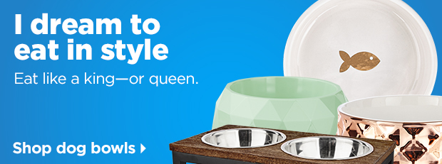 Shop dog bowls >