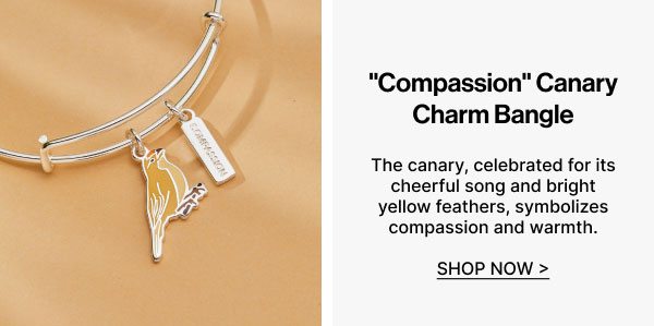 Compassion Yellow Canary Duo Charm Bangle | Shop Now