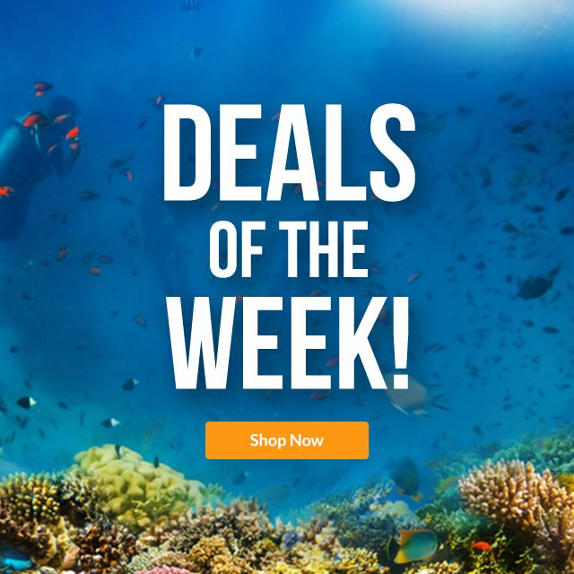 Deals Of The Week! Shop Now