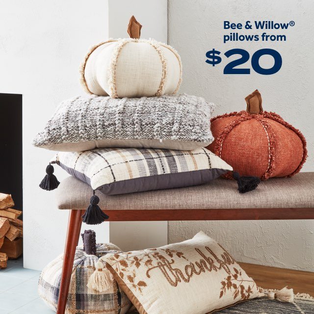 Bee & Willow® pillows from $20