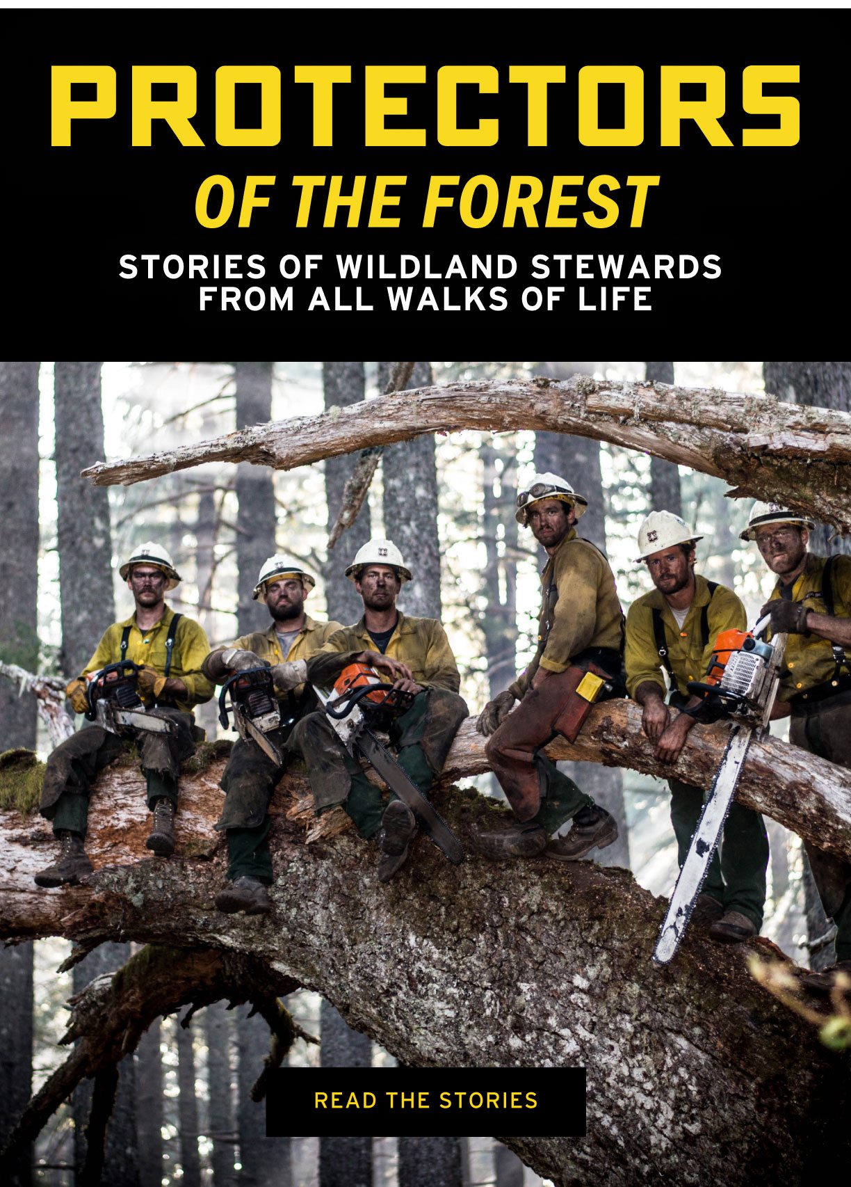 We Salute The Protectors Of The Forests Filson Email Archive 