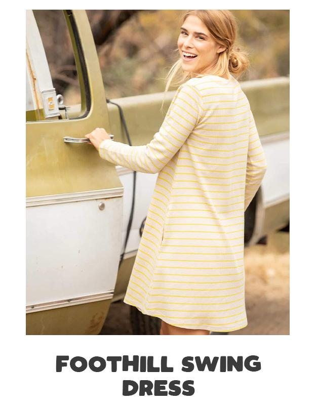 Foothill Swing Dress in Salt Stripe