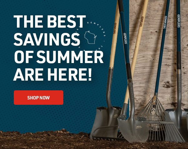 Best-summer-savings-here-99-free-shipping-email2