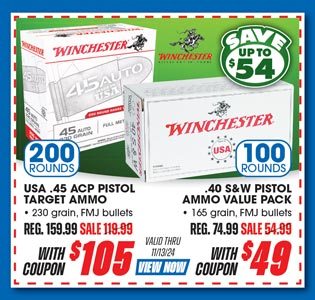 Winchester USA .45 ACP or 40 S&W Pistol Target Ammunition