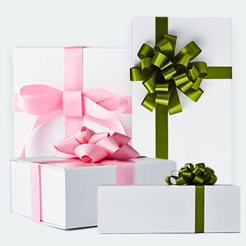 Gifts Under $100