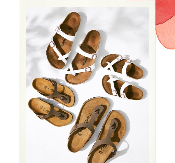 shop the collection