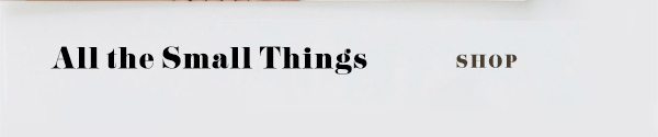 all the small things shop