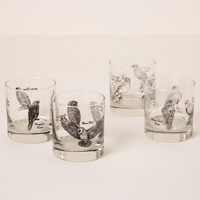 Birds of Prey Rocks Glass Set