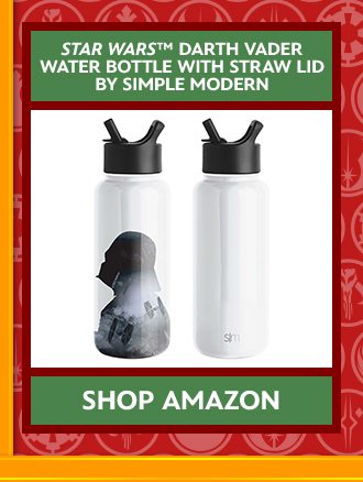 Star Wars™ Darth Vader Water Bottle with Straw Lid by Simple Modern