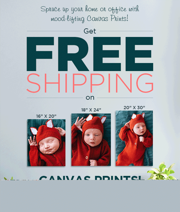 Get FREE Shipping on 16X20, 18x24, and 20x30 Canvas Prints!