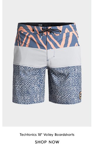 Product 2 - Techtonics 18 In Volley Boardshorts