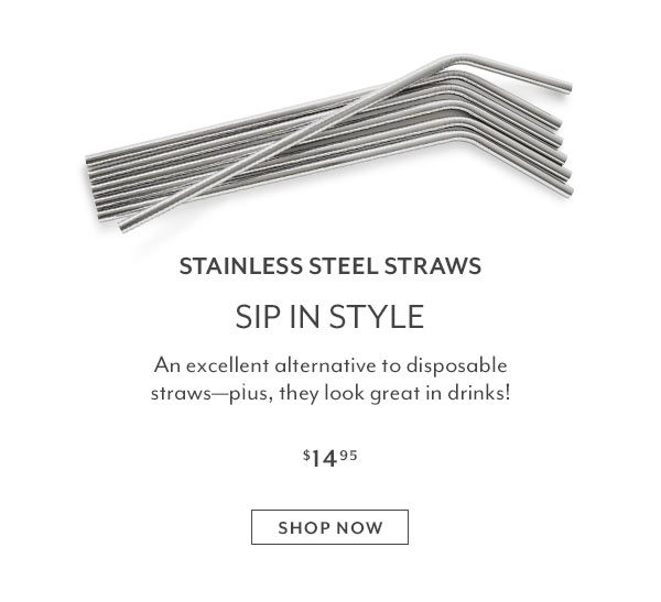 Stainless Steel Straws